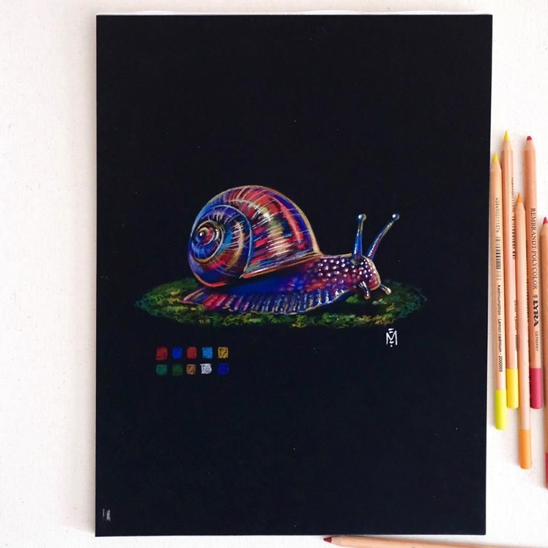ESCARGOT de Marie-Eva Peltier